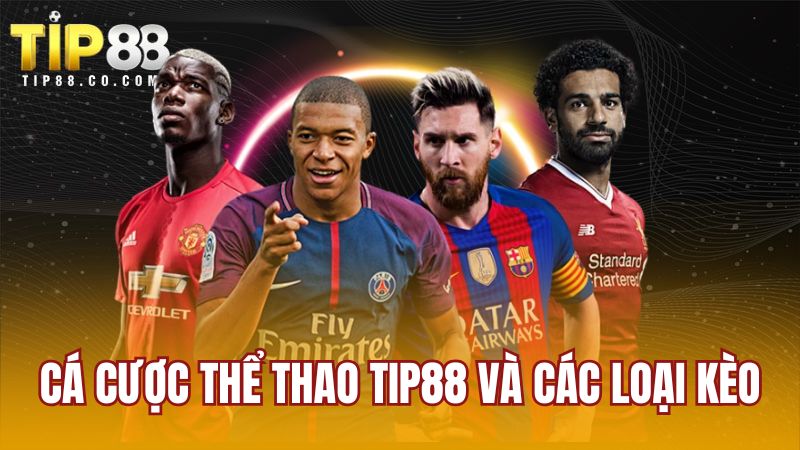 Cá cược thể thao TIP88 và các loại kèo