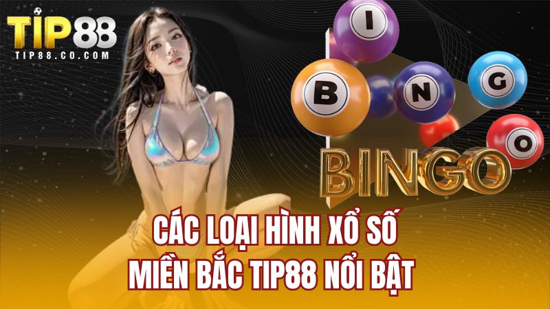 Các loại hình xổ số miền Bắc TIP88 nổi bật
