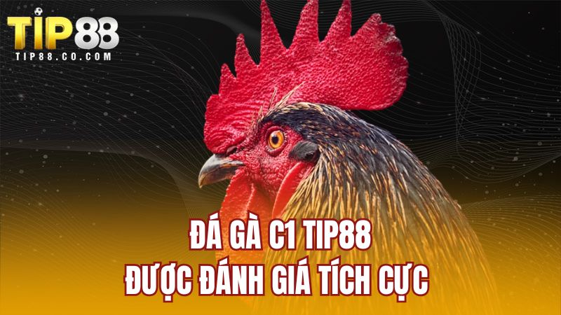 Đá gà C1 TIP88 được đánh giá tích cực 