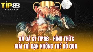 Đá Gà C1 TIP88 - Hình Thức Giải Trí Bạn Không Thể Bỏ Qua