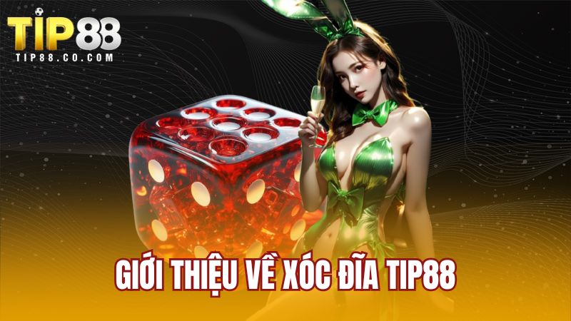 Giới thiệu về xóc đĩa TIP88