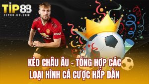 Kèo Châu Âu - Tổng Hợp Các Loại Hình Cá Cược Hấp Dẫn