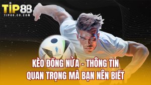 Kèo Đồng Nửa - Thông Tin Quan Trọng Mà Bạn Nên Biết