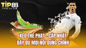 Kèo Thẻ Phạt - Cập Nhật Đầy Đủ Mọi Nội Dung Chính