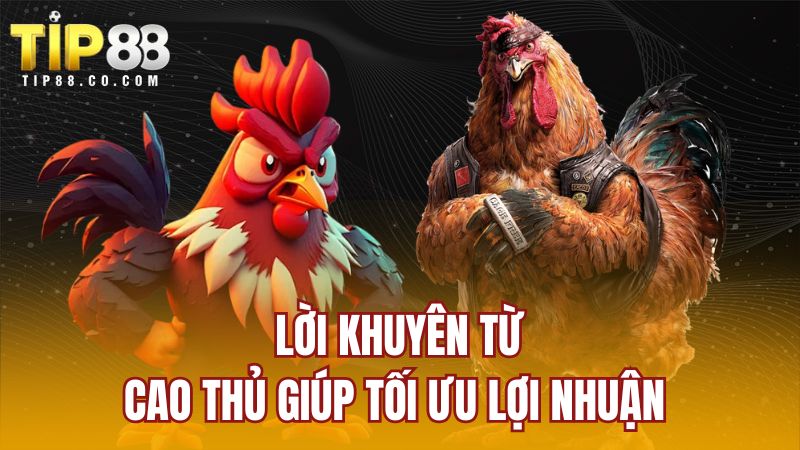 Lời khuyên từ cao thủ giúp tối ưu lợi nhuận