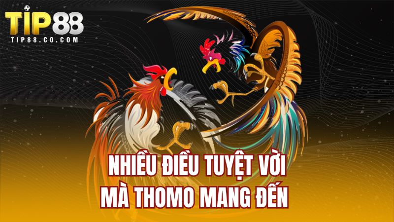 Nhiều điều tuyệt vời mà Thomo mang đến