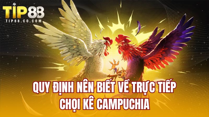 Quy định nên biết về trực tiếp chọi kê Campuchia