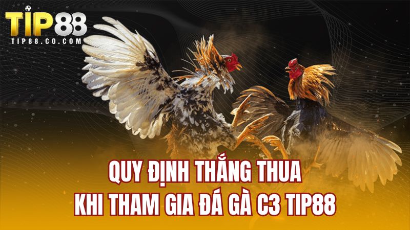 Quy định thắng thua khi tham gia đá gà C3 TIP88