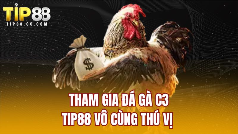Tham gia đá gà C3 TIP88 vô cùng thú vị