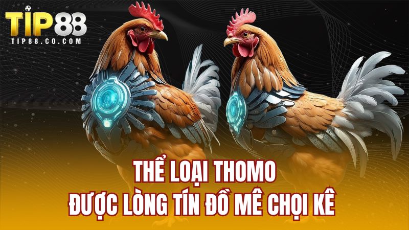 Thể loại Thomo được lòng tín đồ mê chọi kê