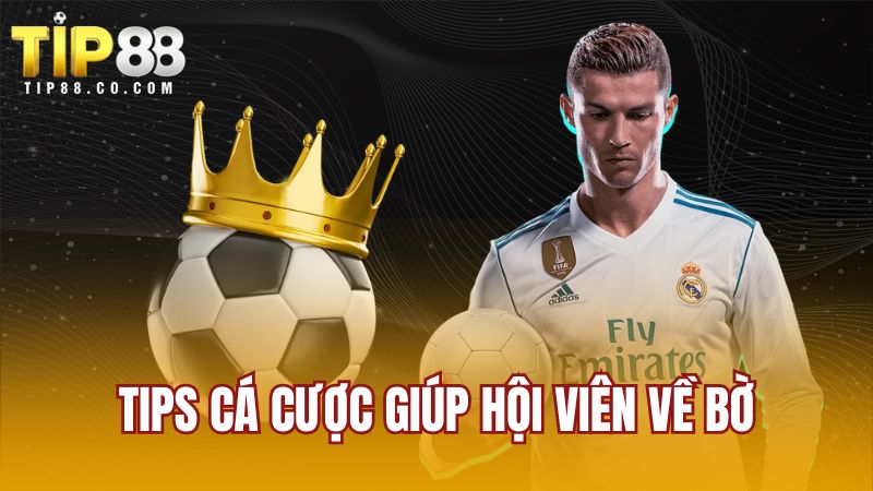 Tips cá cược giúp hội viên về bờ